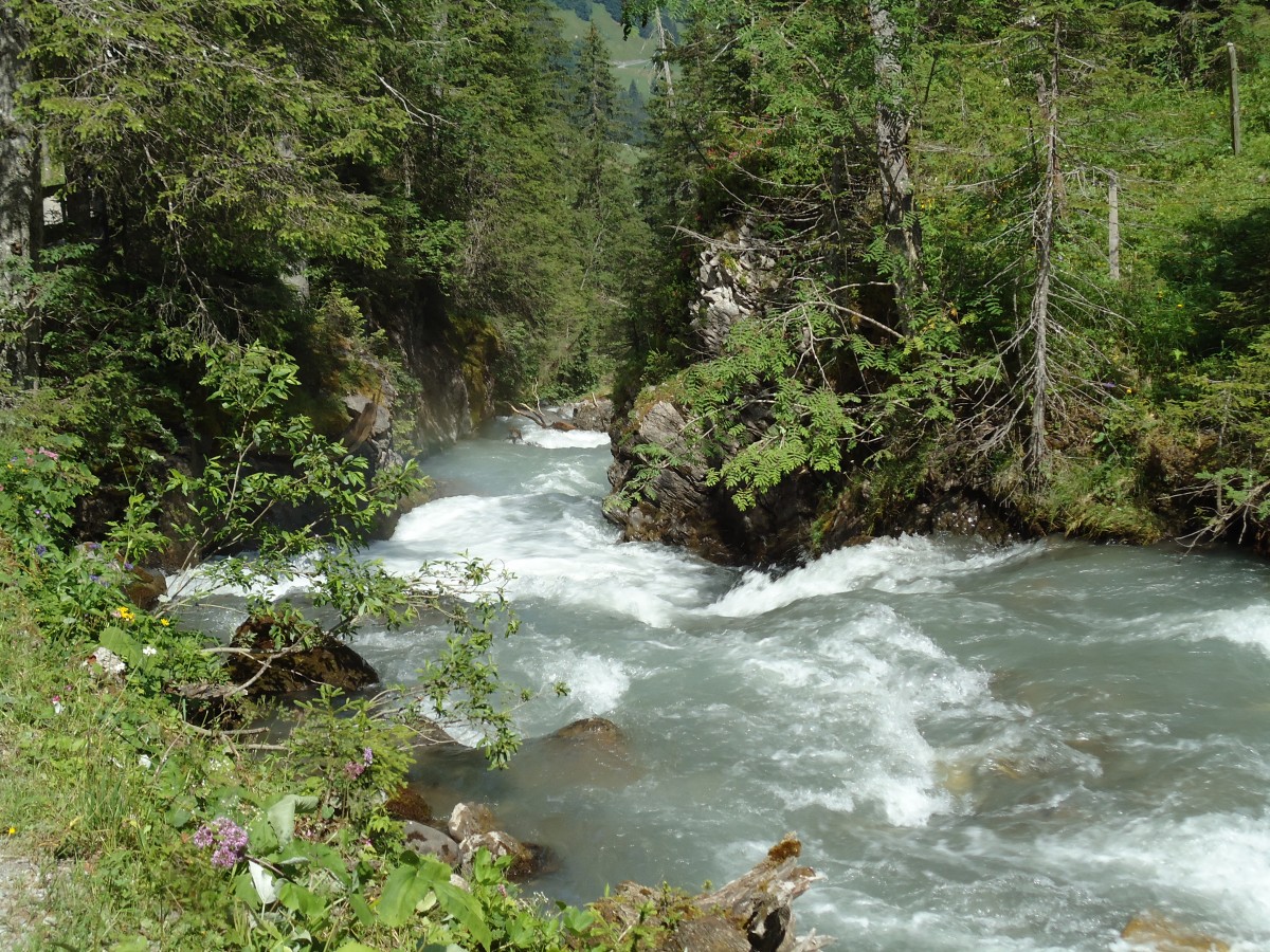 (146'112) - Die Simme bei der Iffigenalp am 28. Juli 2013