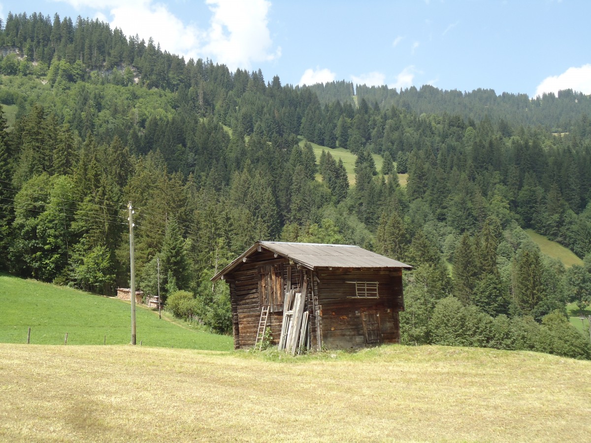 (146'134) - Alter Schober an der Lenk am 28. Juli 2013