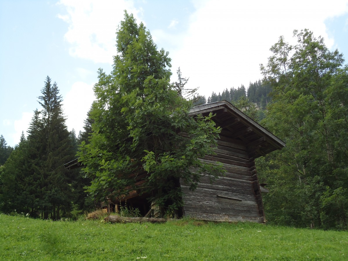(146'135) - Alter Schober an der Lenk am 28. Juli 2013