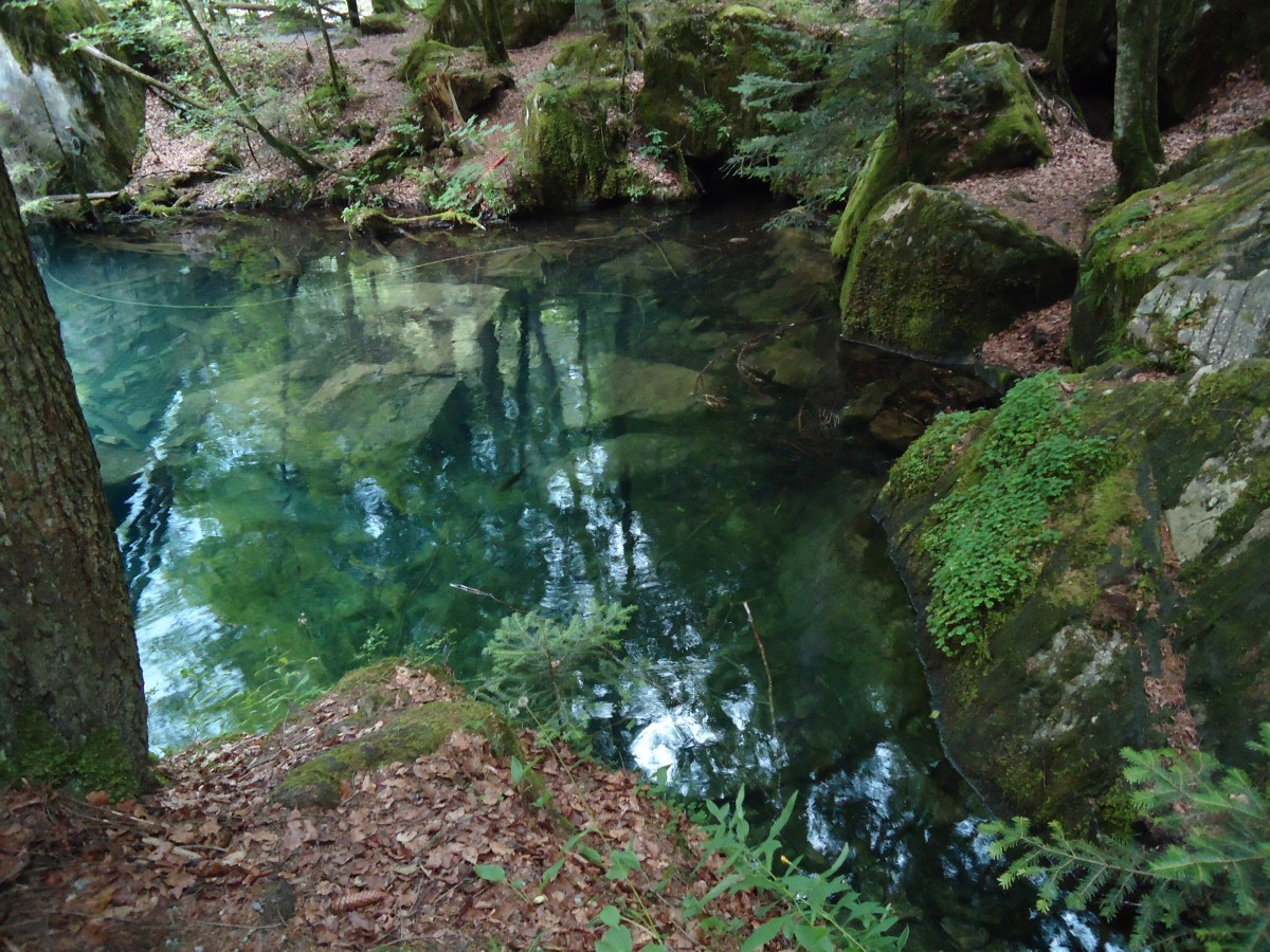 (146'180) - Am Blausee am 3. August 2013