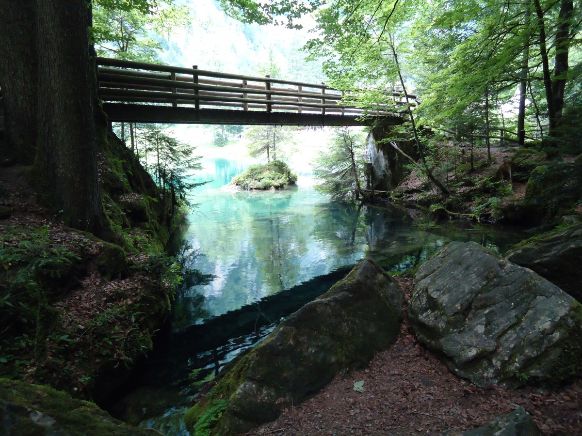 (146'181) - Am Blausee am 3. August 2013