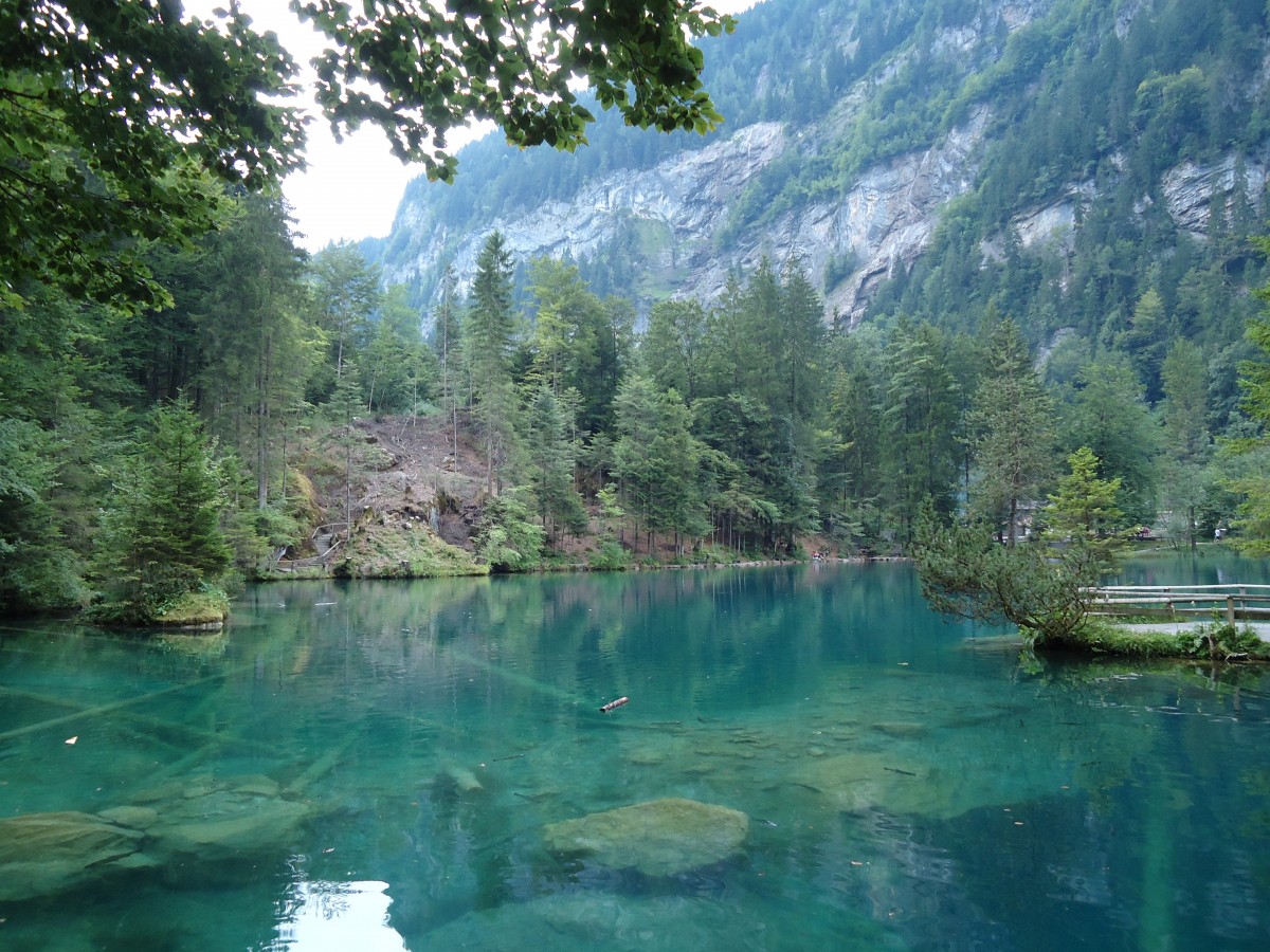 (146'187) - Der Blausee am 3. August 2013