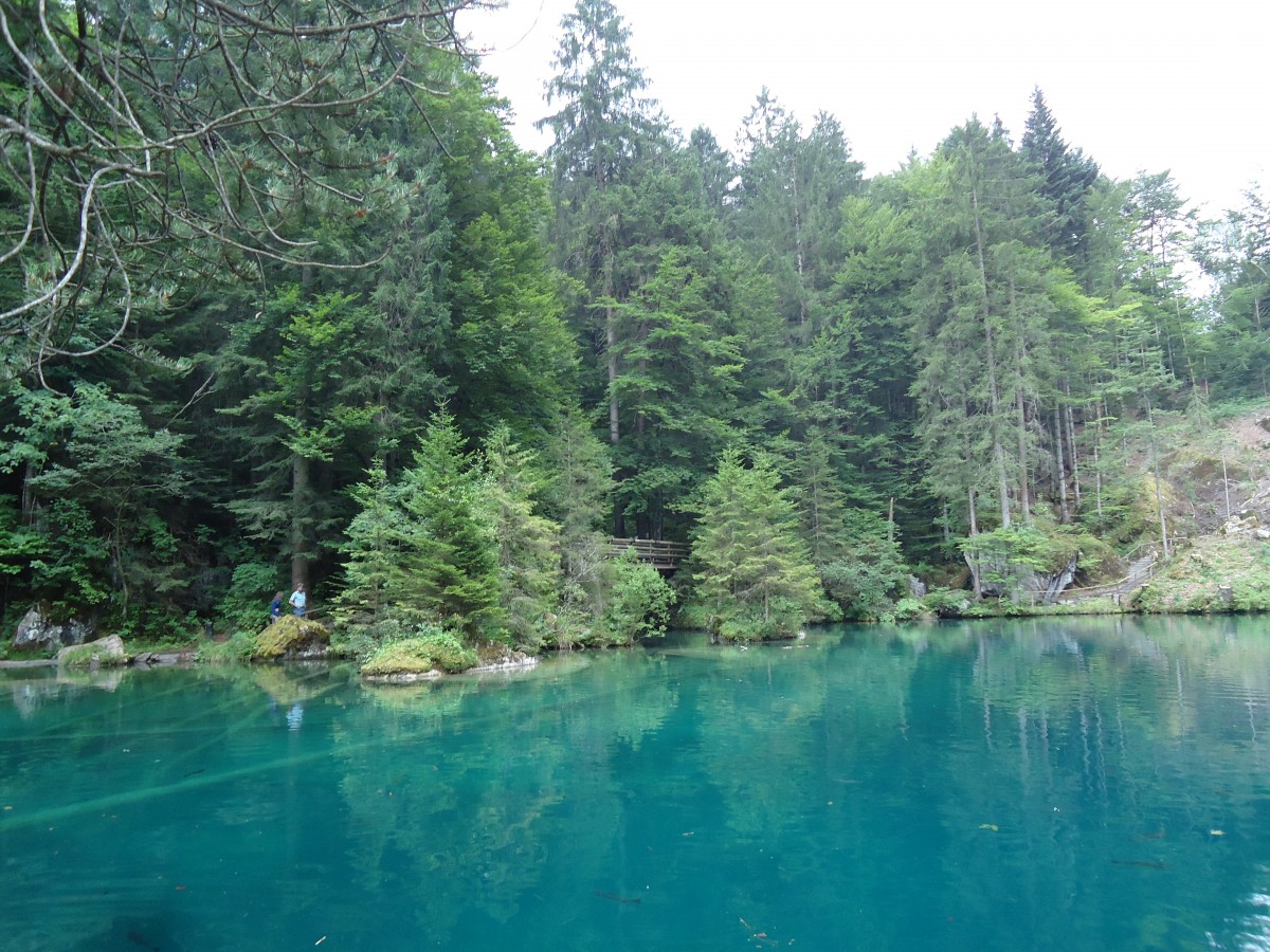 (146'190) - Der Blausee am 3. August 2013