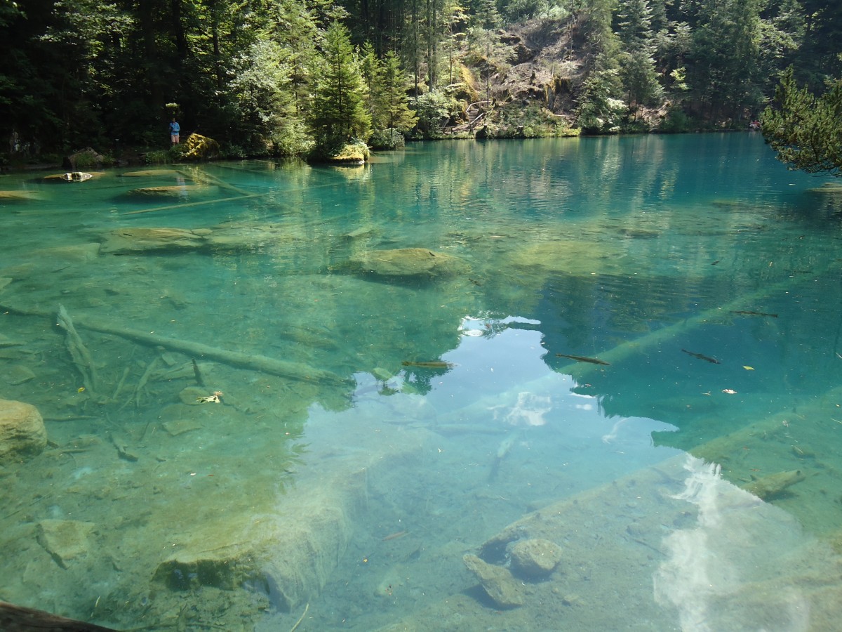 (146'224) - Der Blausee am 4. August 2013