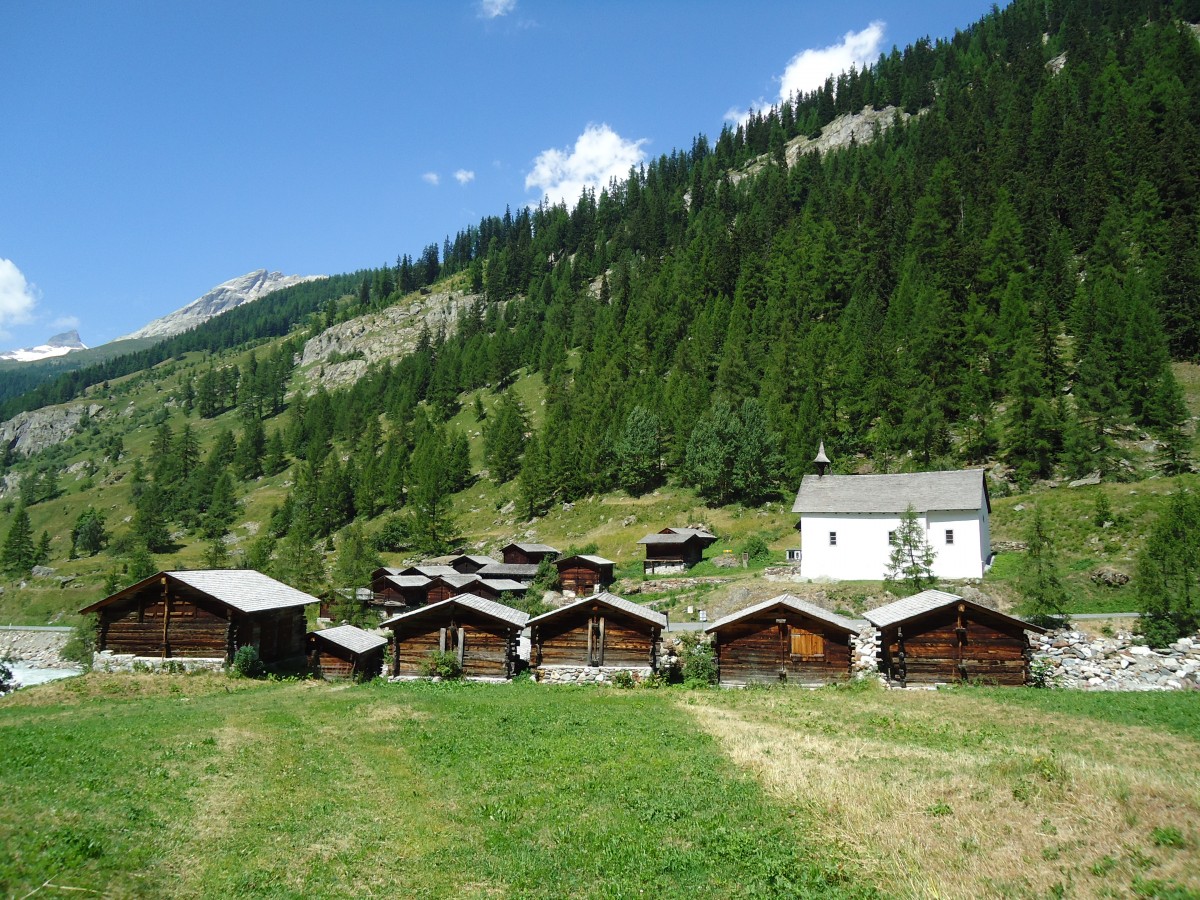 (146'248) - K�hmad bei Blatten im L�tschental am 5. August 2013