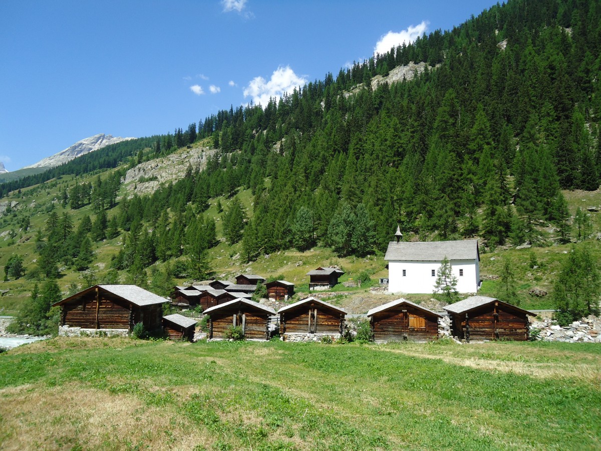 (146'249) - K�hmad bei Blatten im L�tschental am 5. August 2013