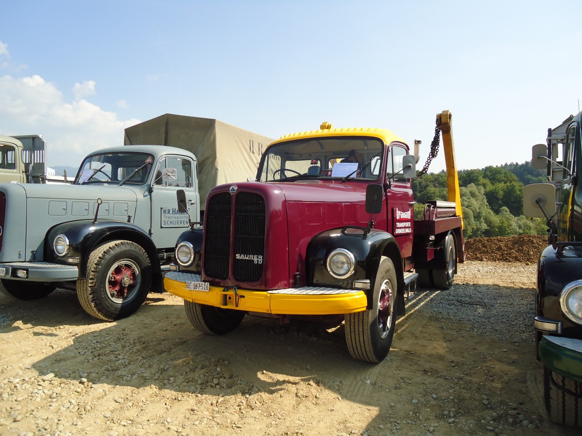 (146'669) - Brawand, Gindelwald - BE 107'516 - Saurer am 31. August 2013 in Niederbipp, Saurertreffen