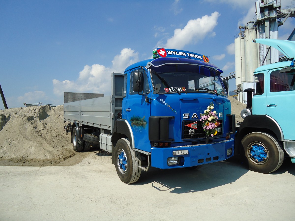 (146'692) - Wyler, Thun - BE 1164 U - Saurer am 31. August 2013 in Niederbipp, Saurertreffen