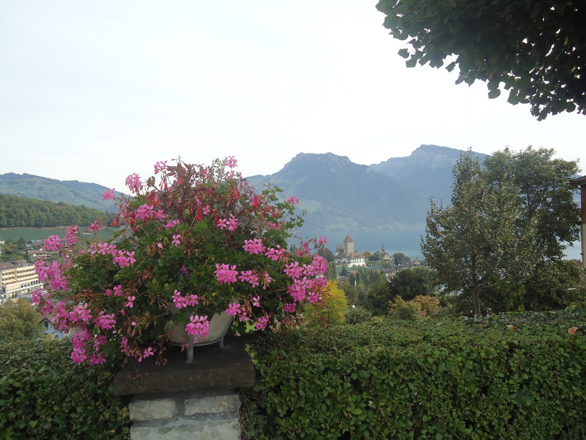 (147'373) - Das Schloss Spiez am Thunersee am 28. September 2013