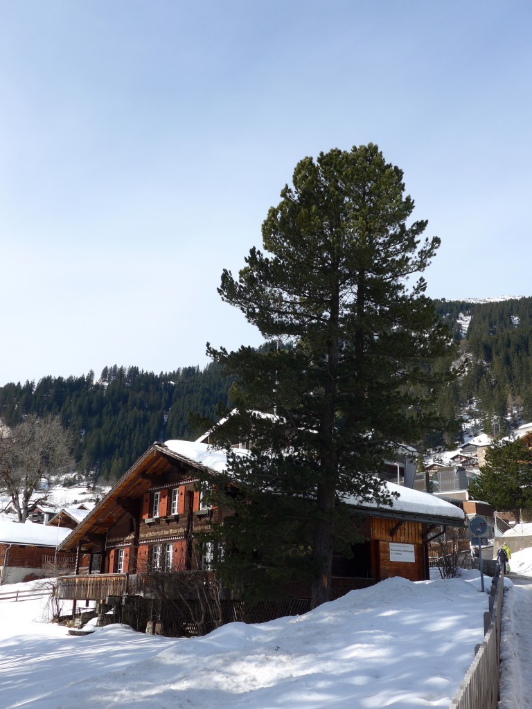 (148'850) - Das Haus  Media Vita  in Adelboden am 15. Februar 2014