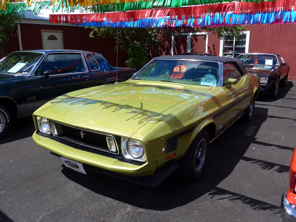 (152'260) - Ford am 9. Juli 2014 in Volo, Auto Museum