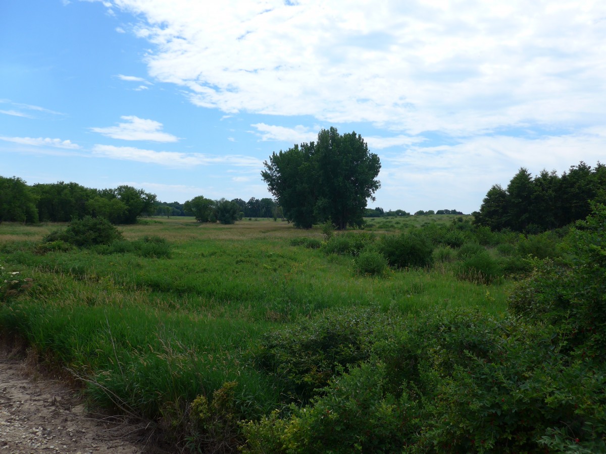 (152'594) - Landschaft bei Union am 11. Juli 2014