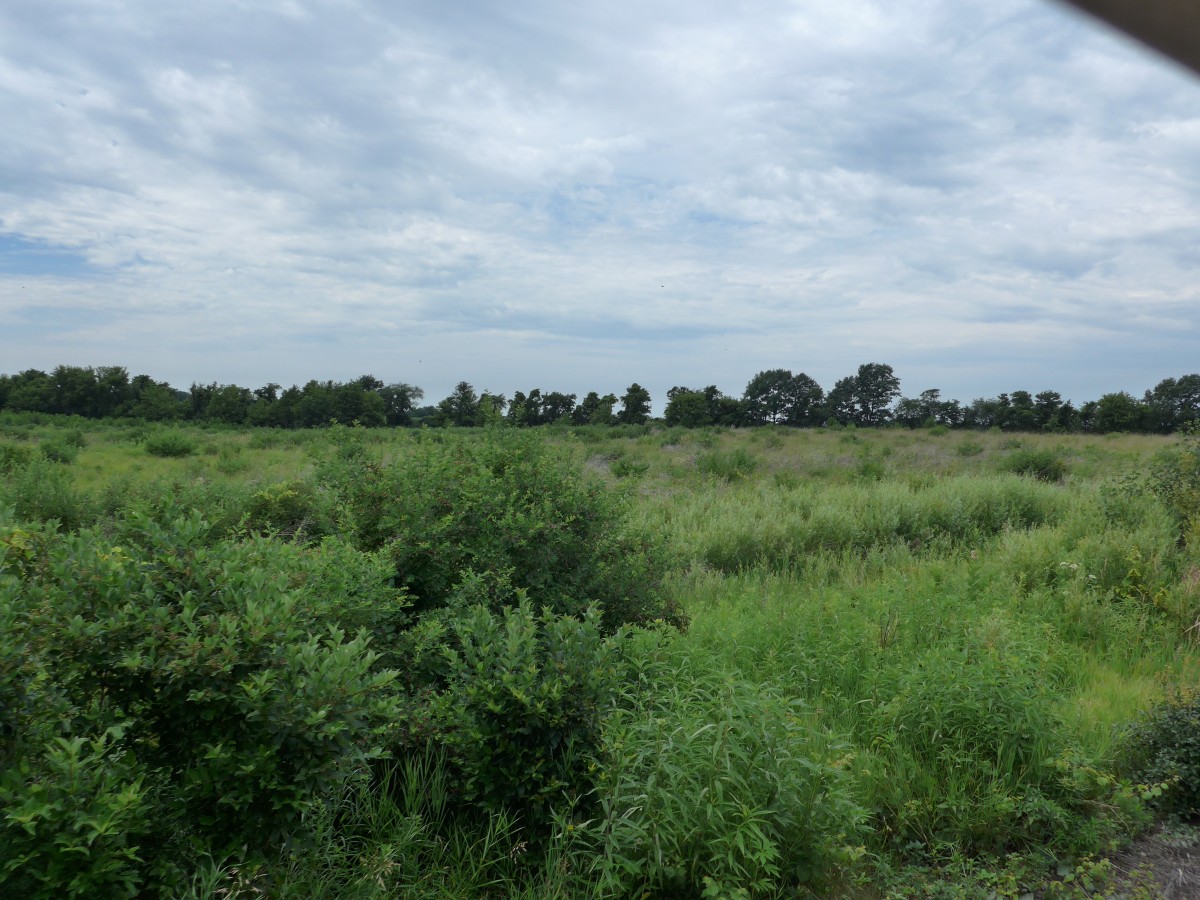 (152'599) - Landschaft bei Union am 11. Juli 2014