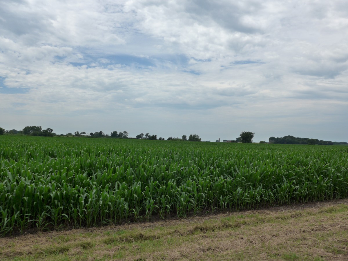 (152'601) - Landschaft bei Union am 11. Juli 2014