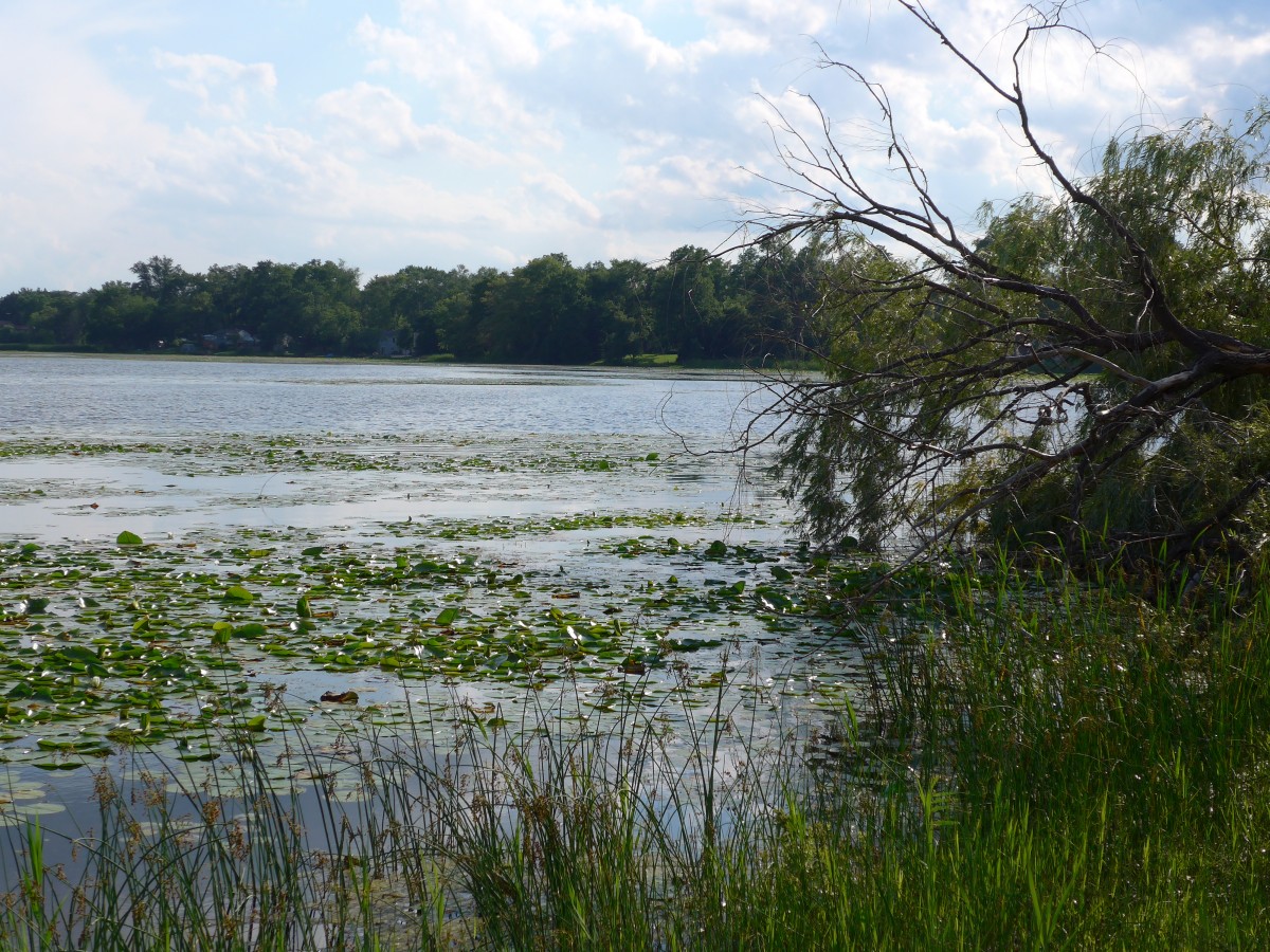 (152'693) - Am Lily Lake am 13. Juli 2014