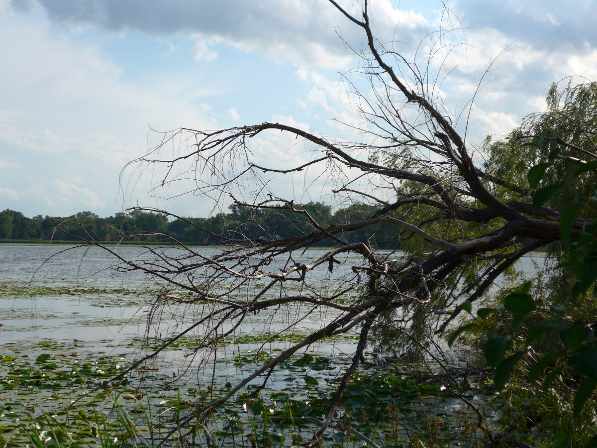 (152'696) - Am Lily Lake am 13. Juli 2014