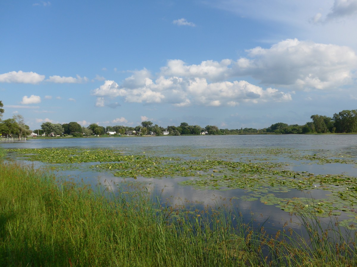 (152'697) - Seerosen im Lily Lake am 13. Juli 2014