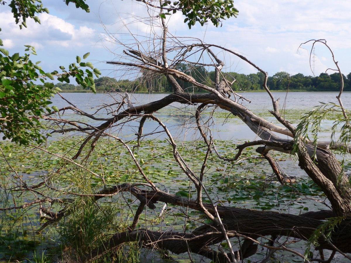 (152'698) - Am Lily Lake am 13. Juli 2014