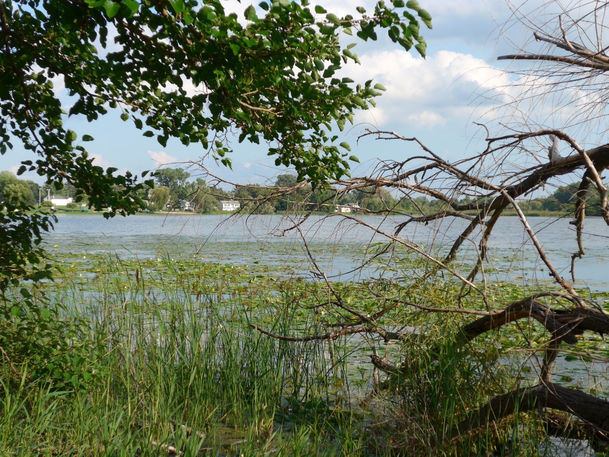 (152'699) - Am Lily Lake am 13. Juli 2014