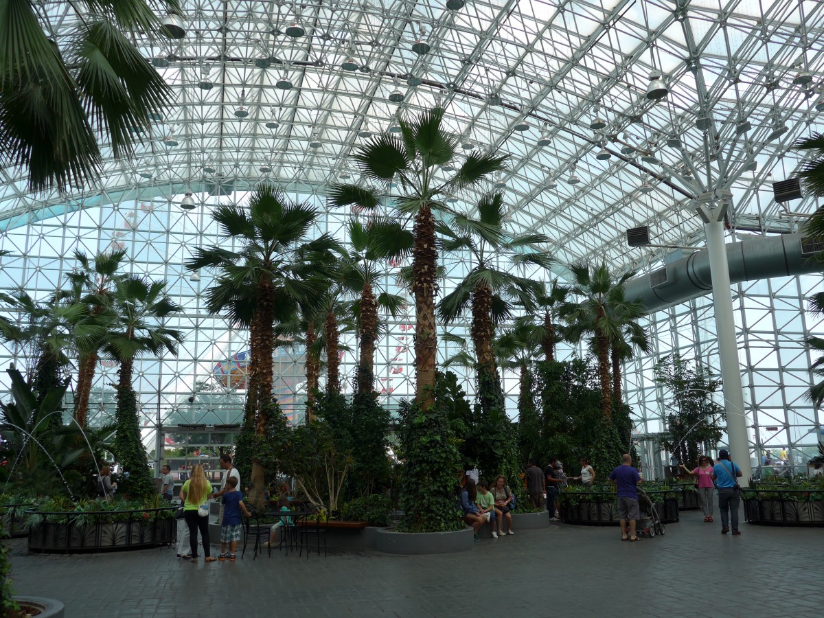 (152'747) - Palmen im Navy Pier am 14. Juli 2014 in Chicago