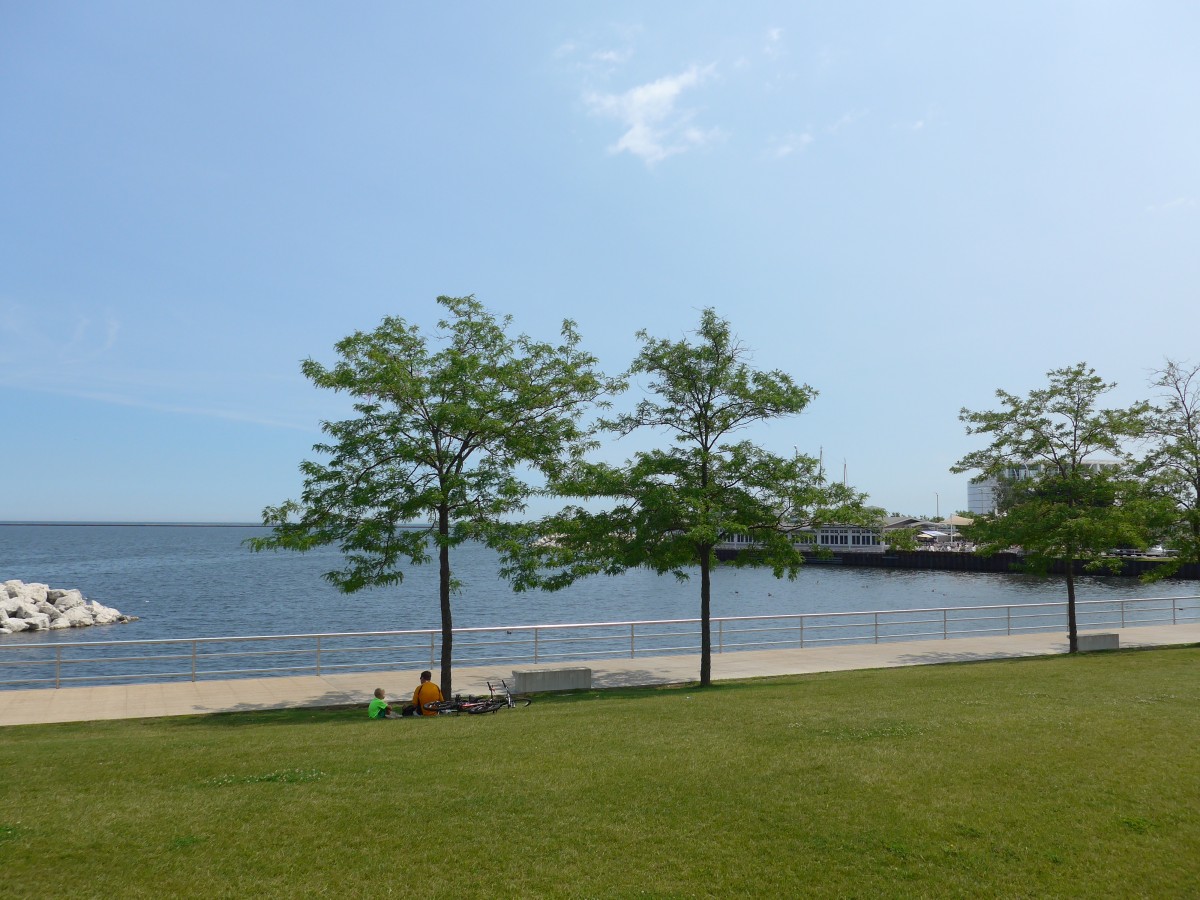 (153'036) - B�ume am Hafen von Milwaukee am 17. Juli 2014 mit Sicht auf den Lake Michigan