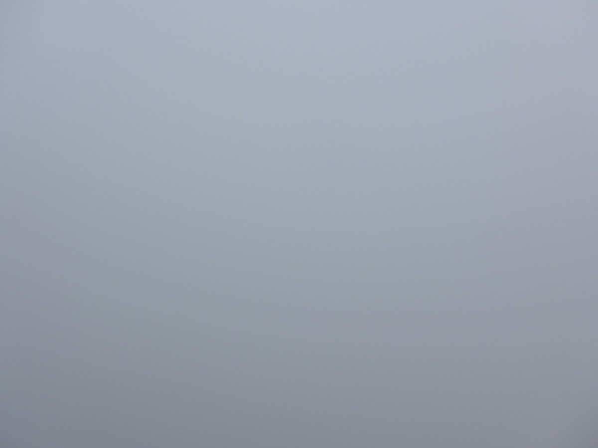 (154'388) - Dieses Bild bot sich uns am 23. August 2014 auf dem Rochers-de-Naye, als wir die Aussicht geniessen wollten: Dichter Nebel!