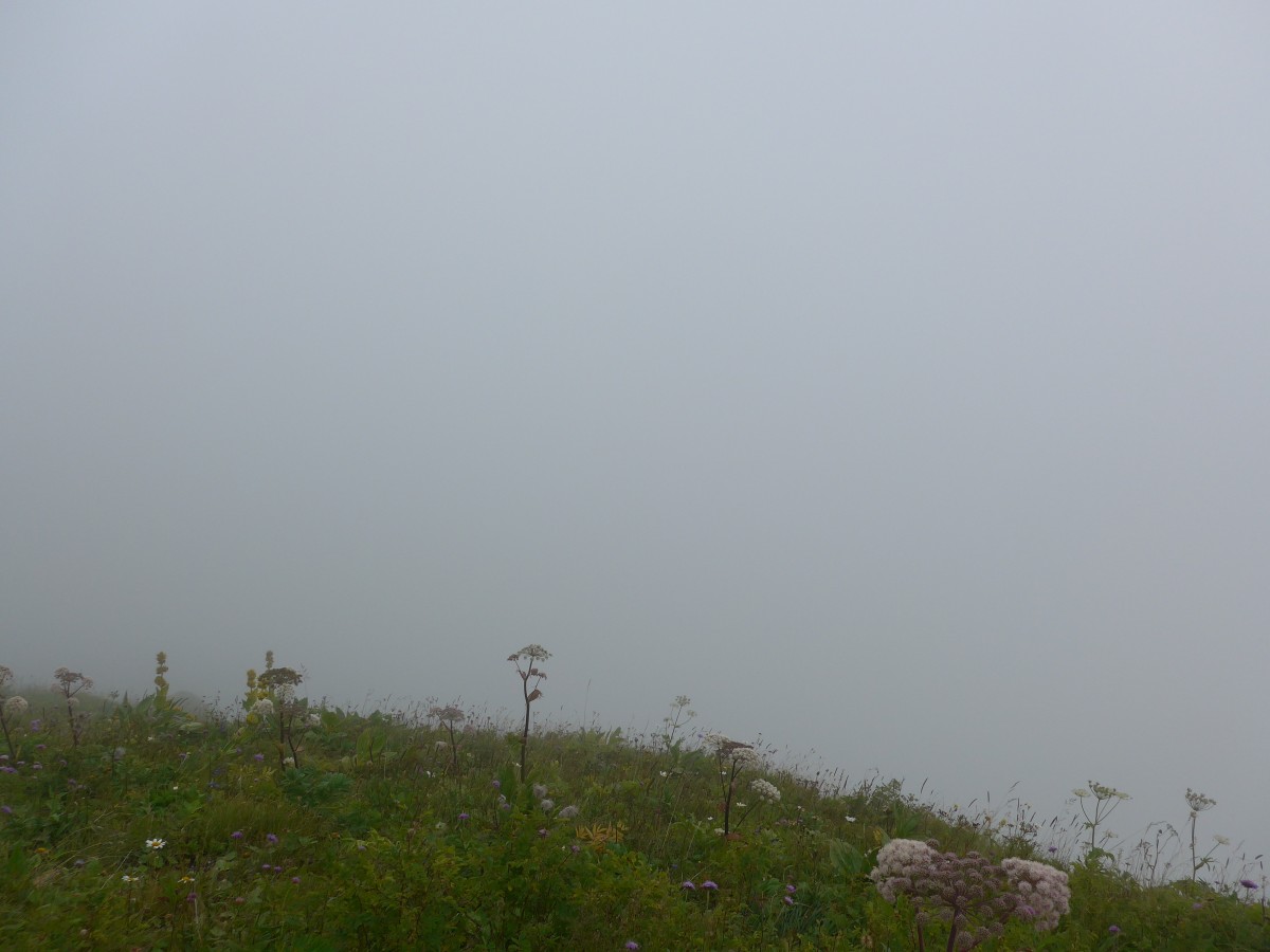 (154'389) - Aussicht auf dem Rochers-de-Naye am 23. August 2014