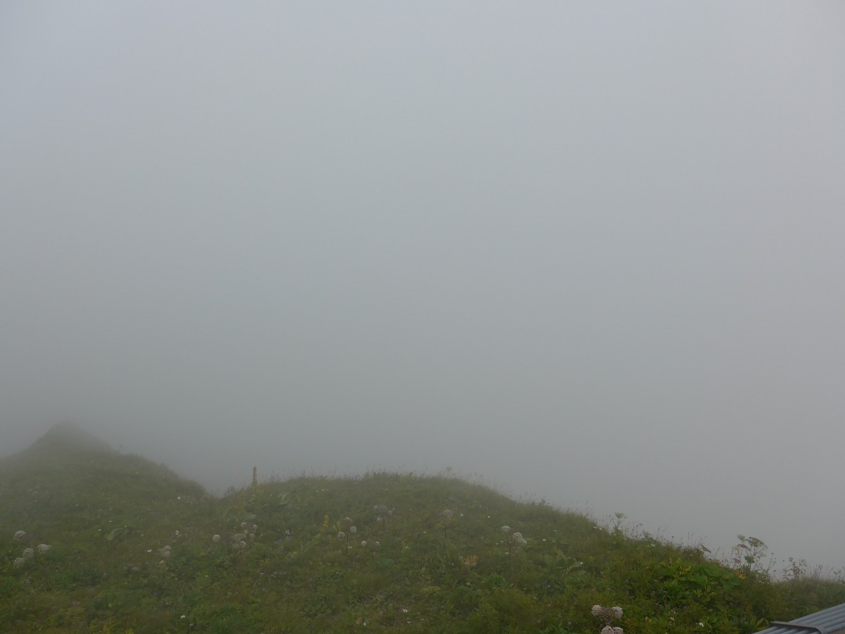 (154'391) - Aussicht auf dem Rochers-de-Naye am 23. August 2014