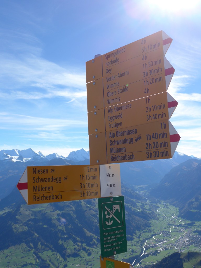 (155'846) - Wegweiser auf dem Niesen am 19. Oktober 2014
