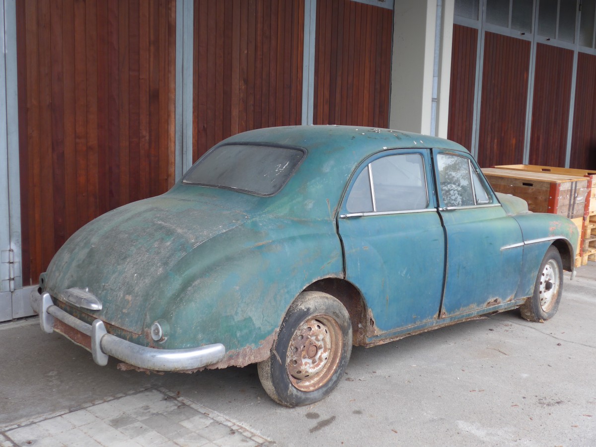 (155'985) - Englischer Rost am 25. Oktober 2014 in Rain, Lager Geissbach