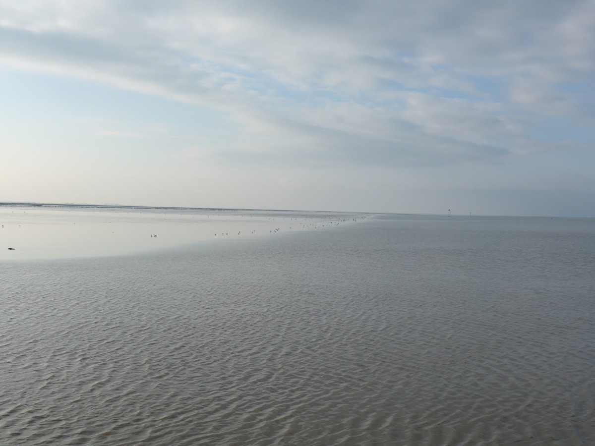 (156'801) - Das Wattenmeer am 19. November 2014 von Holwerd aus