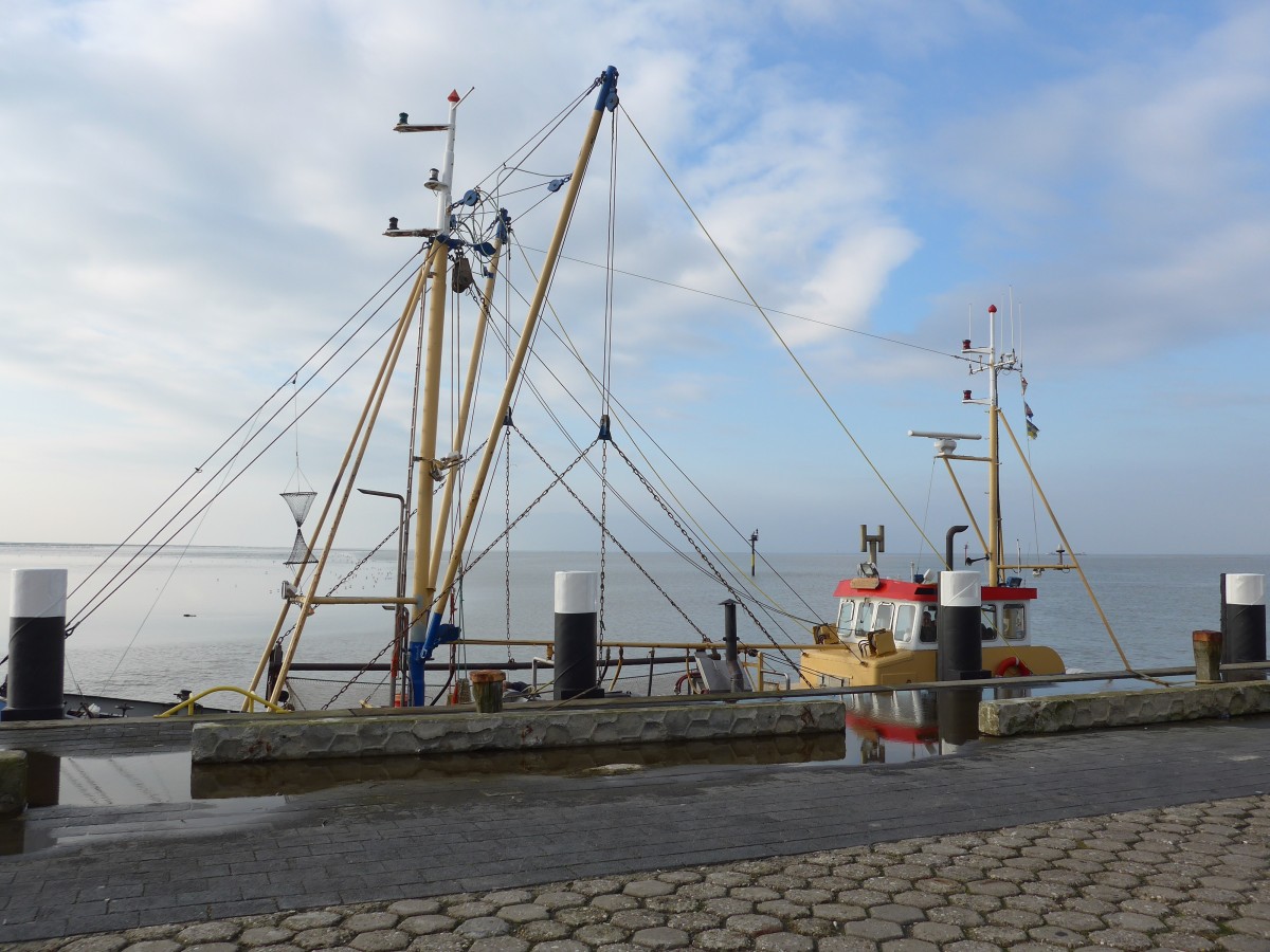 (156'804) - Die Antje im Hafen von Holwerd am 19. November 2014