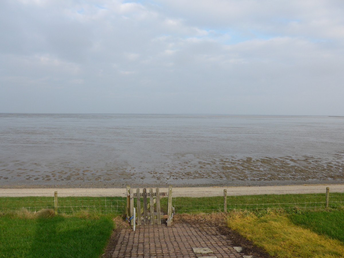 (156'823) - Das Wattenmeer am 19. November 2014 von Moddergat aus
