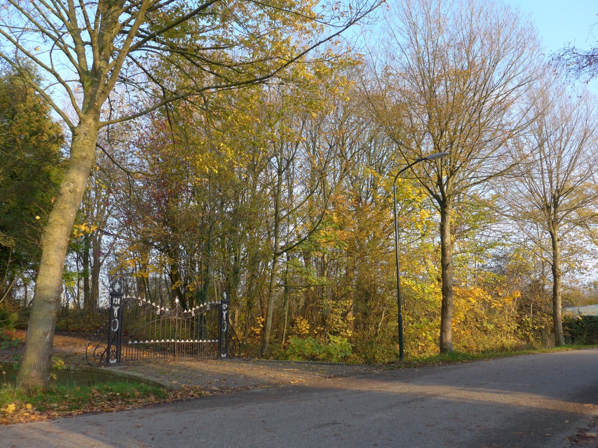 (156'875) - Sch�nes Eingangstor am 19. November 2014 in Vierhuizen