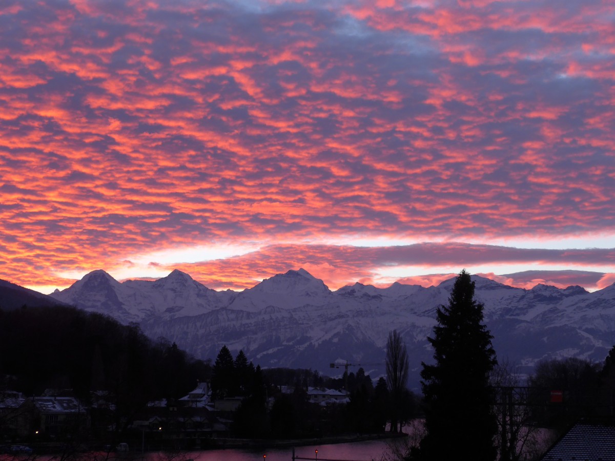 (157'725) - Morgenrot mit Eiger, M�nch und Jungfrau am 10. Dezember 2014 von Thun aus