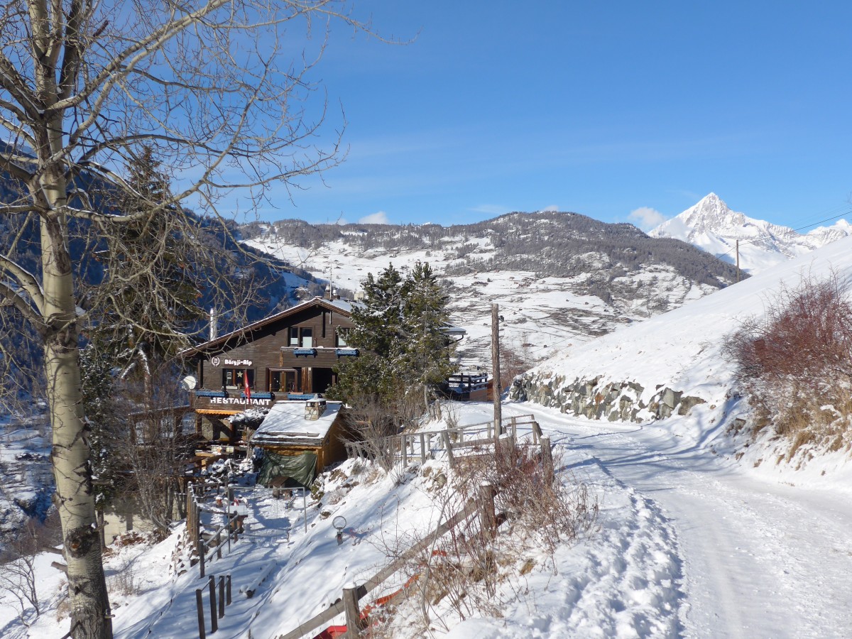 (158'433) - Das Restaurant B�rgji-Alp mit dem Matterhorn am 18. Januar 2015 bei Gr�chen