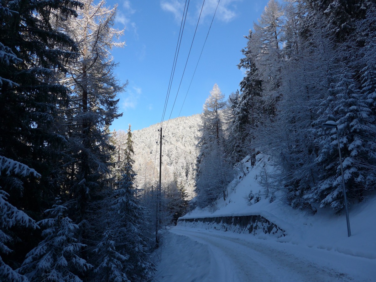 (158'787) - Waldstrasse am 15. Februar 2015 bei Gr�chen