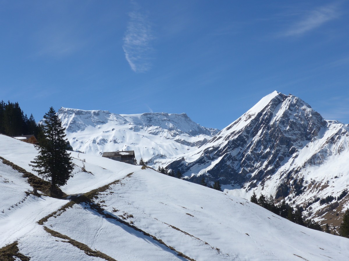 (159'911) - Wildstrubel + Fitzer am 12. April 2015 vom Laueli bei Adelboden aus