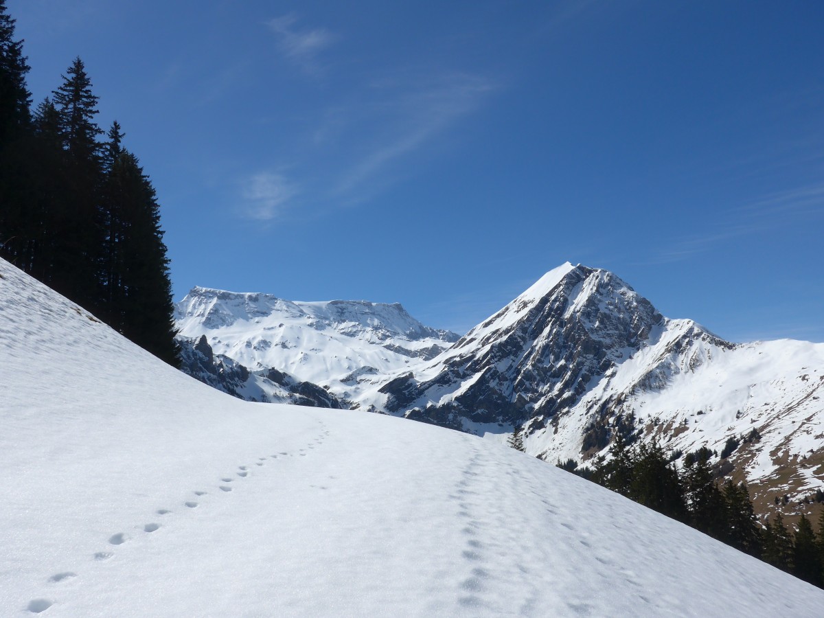 (159'912) - Wildstrubel + Fitzer am 12. April 2015 vom Laueli bei Adelboden aus