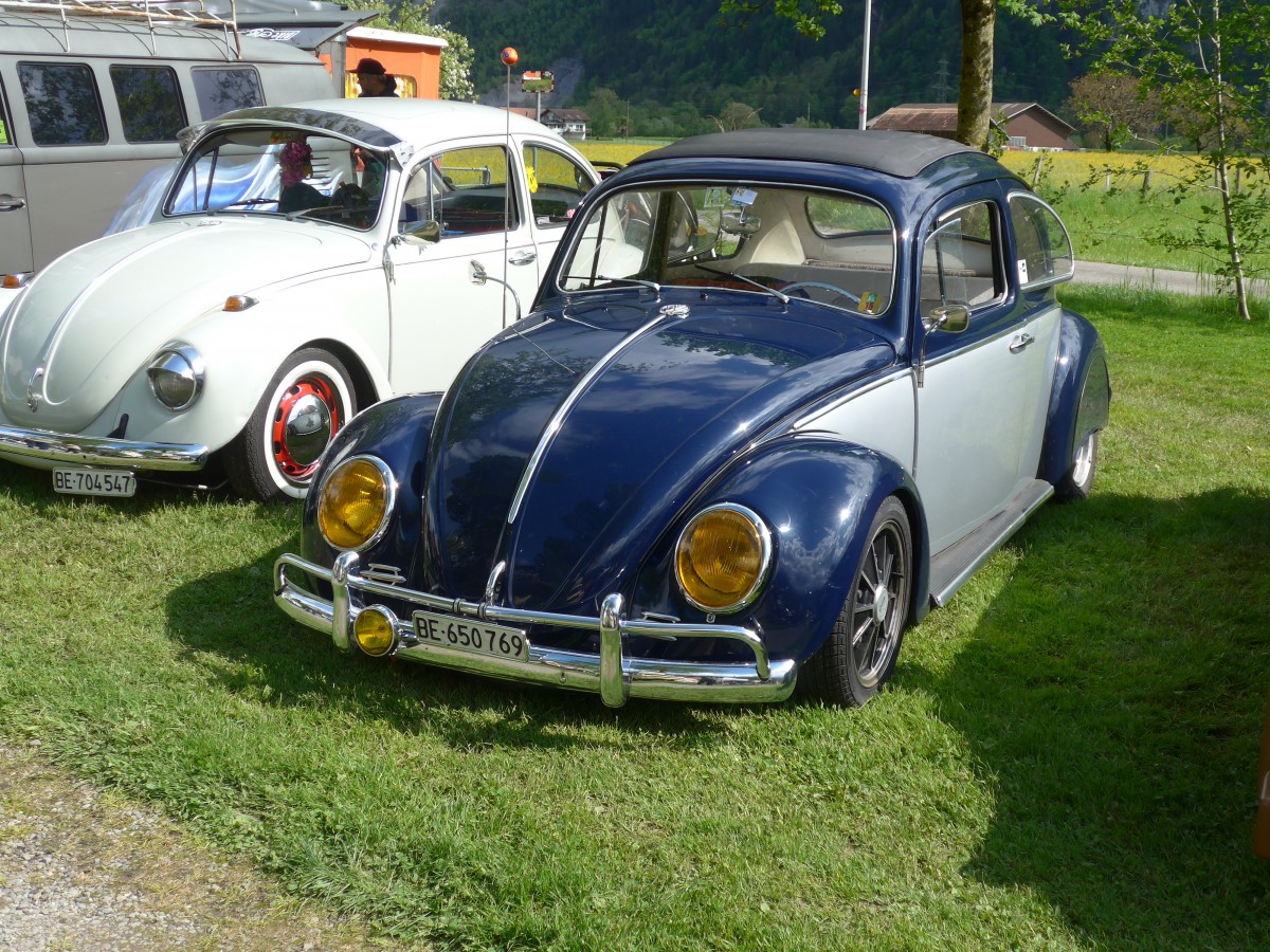(160'240) - VW-K�fer - BE 650'769 - am 9. Mai 2015 in Brienz, Camping Aaregg