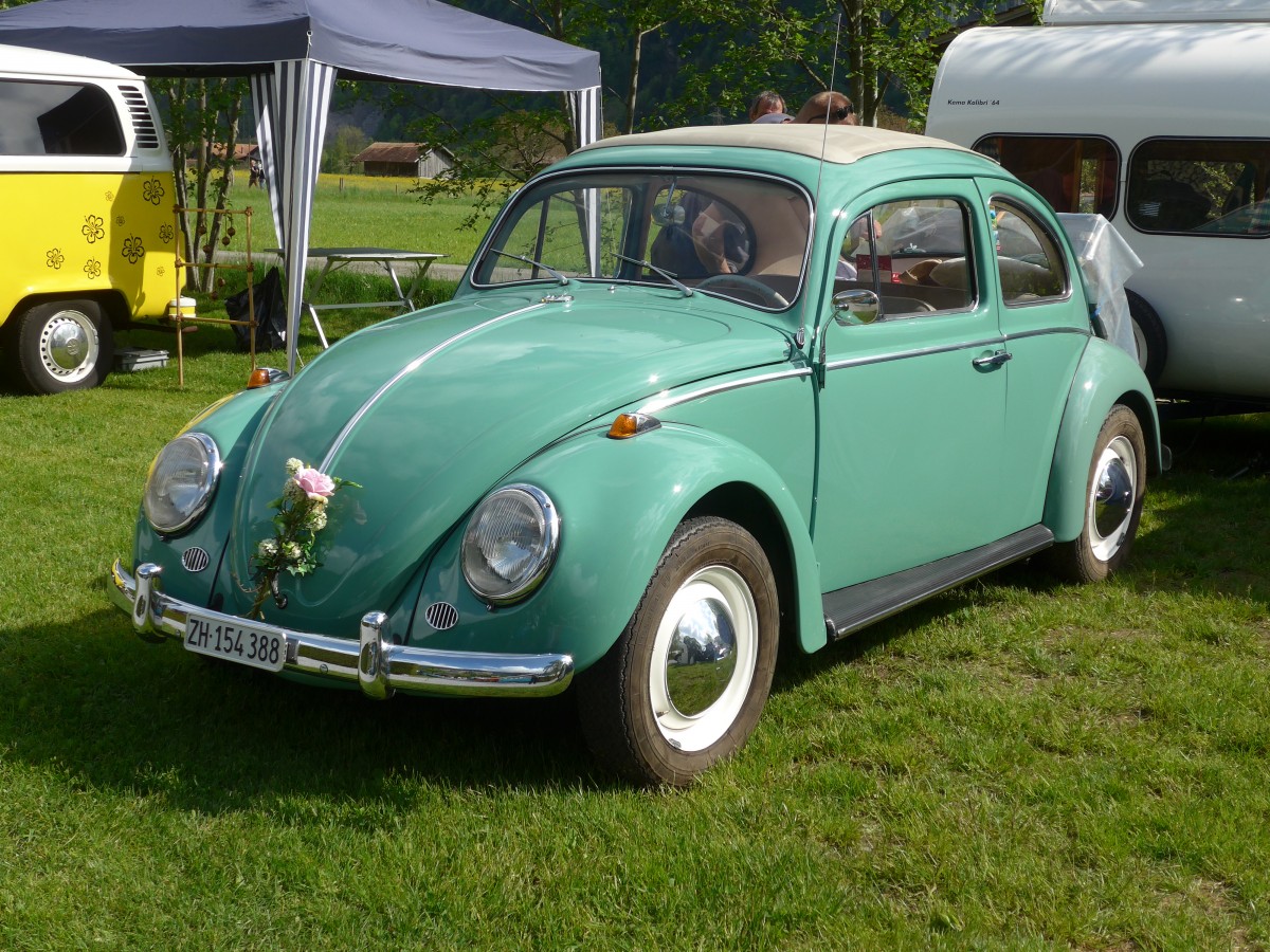 (160'245) - VW-K�fer - ZH 154'388 - am 9. Mai 2015 in Brienz, Camping Aaregg