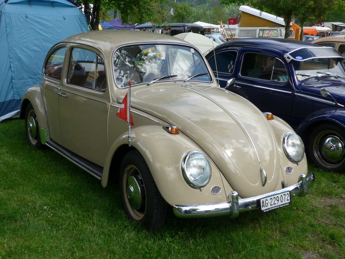 (160'269) - VW-K�fer - AG 229'072 - am 9. Mai 2015 in Brienz, Camping Aaregg