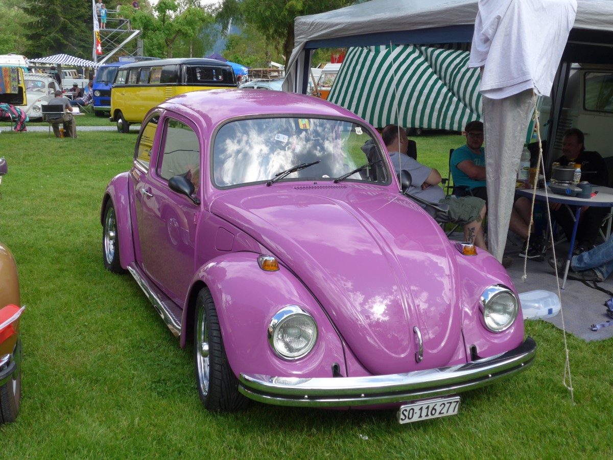 (160'272) - VW-K�fer - SO 116'277 - am 9. Mai 2015 in Brienz, Camping Aaregg