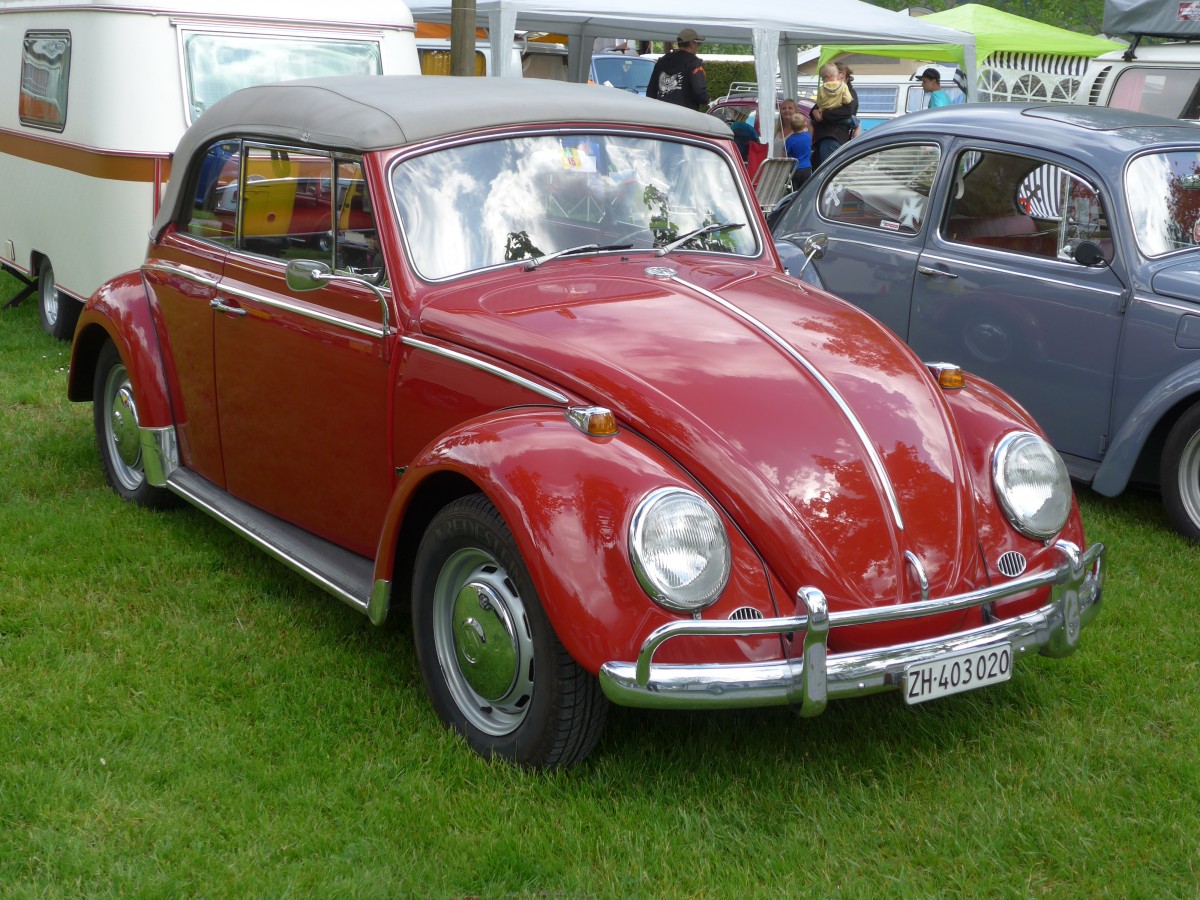 (160'274) - VW-K�fer - ZH 403'020 - am 9. Mai 2015 in Brienz, Camping Aaregg
