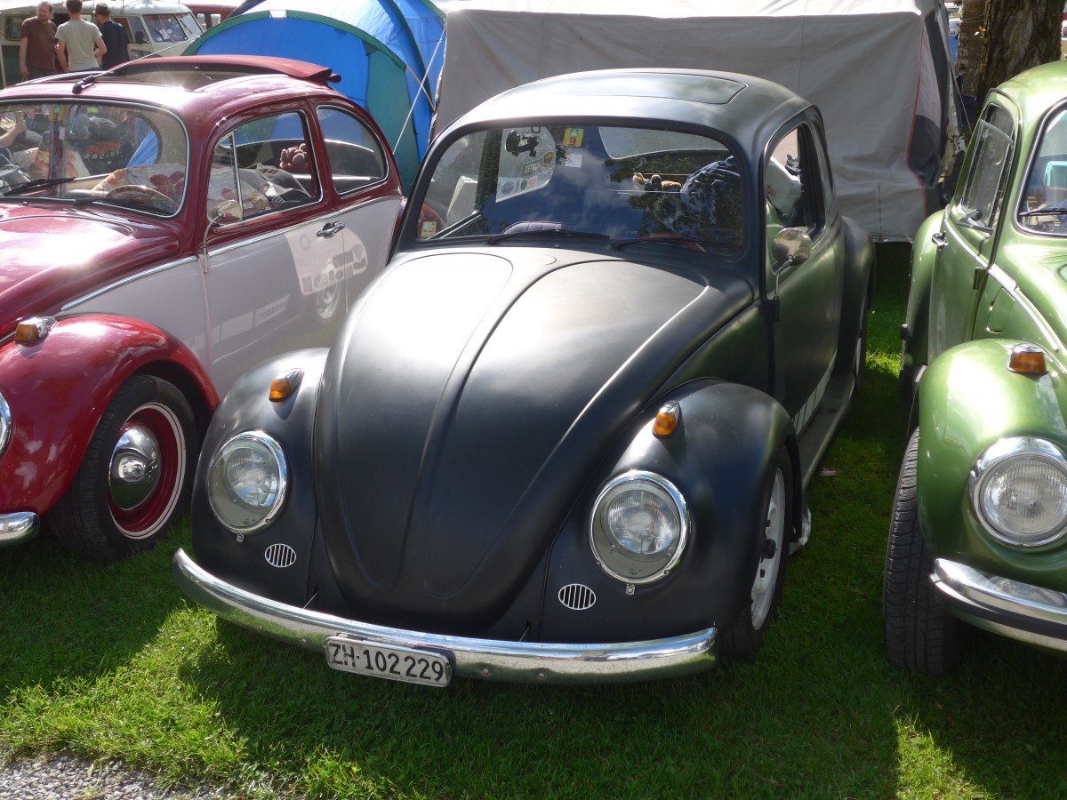 (160'324) - VW-K�fer - ZH 102'229 - am 9. Mai 2015 in Brienz, Camping Aaregg