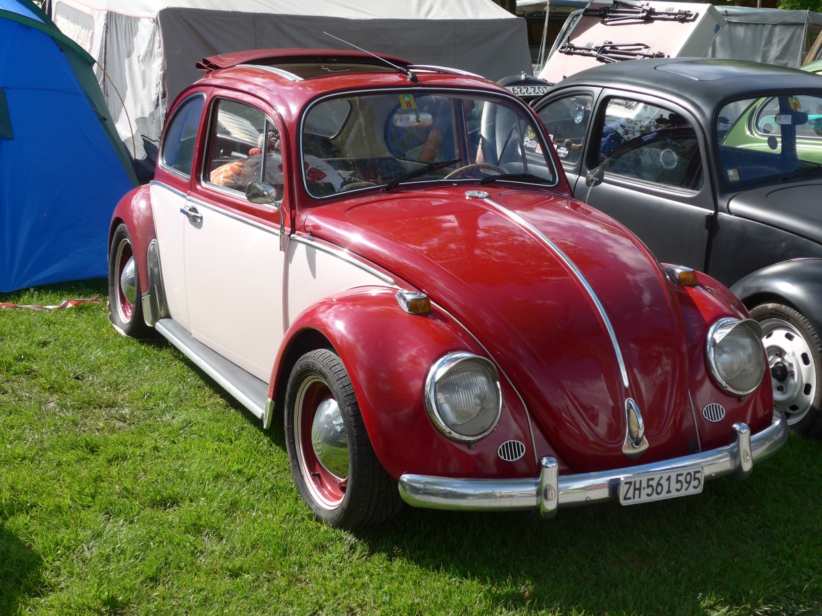 (160'325) - VW-K�fer - ZH 561'595 - am 9. Mai 2015 in Brienz, Camping Aaregg