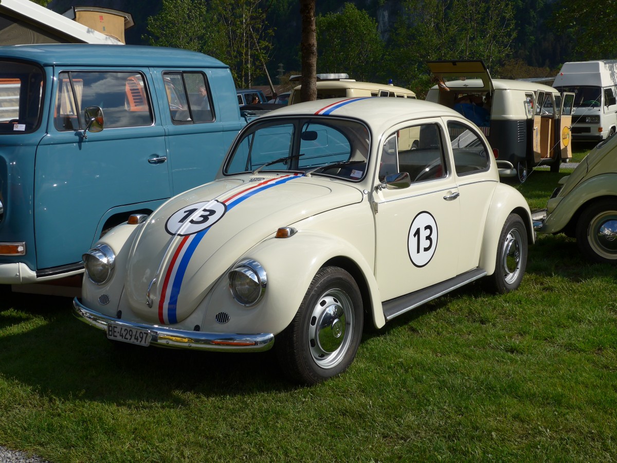 (160'333) - VW-K�fer - BE 429'497 - am 9. Mai 2015 in Brienz, Camping Aaregg
