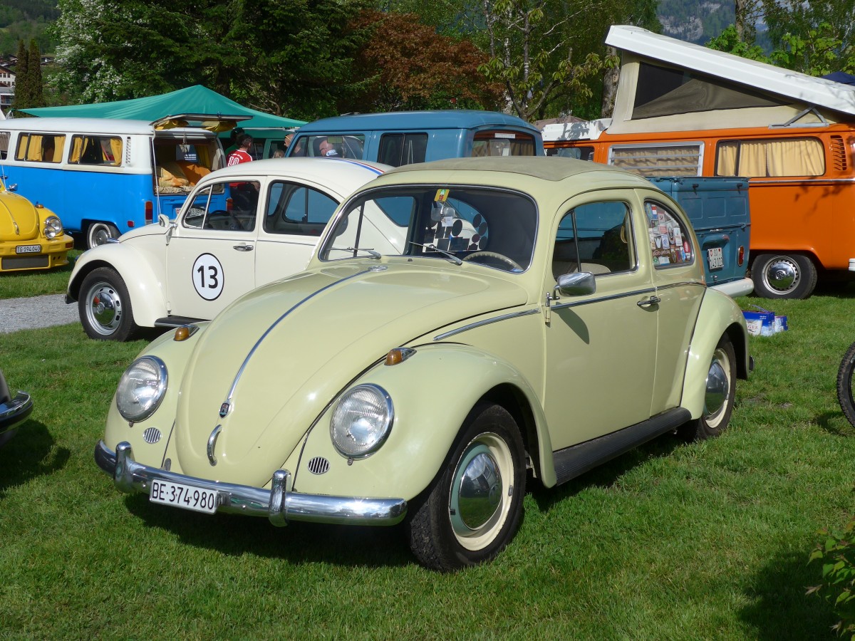 (160'349) - VW-K�fer - BE 374'980 - am 9. Mai 2015 in Brienz, Camping Aaregg