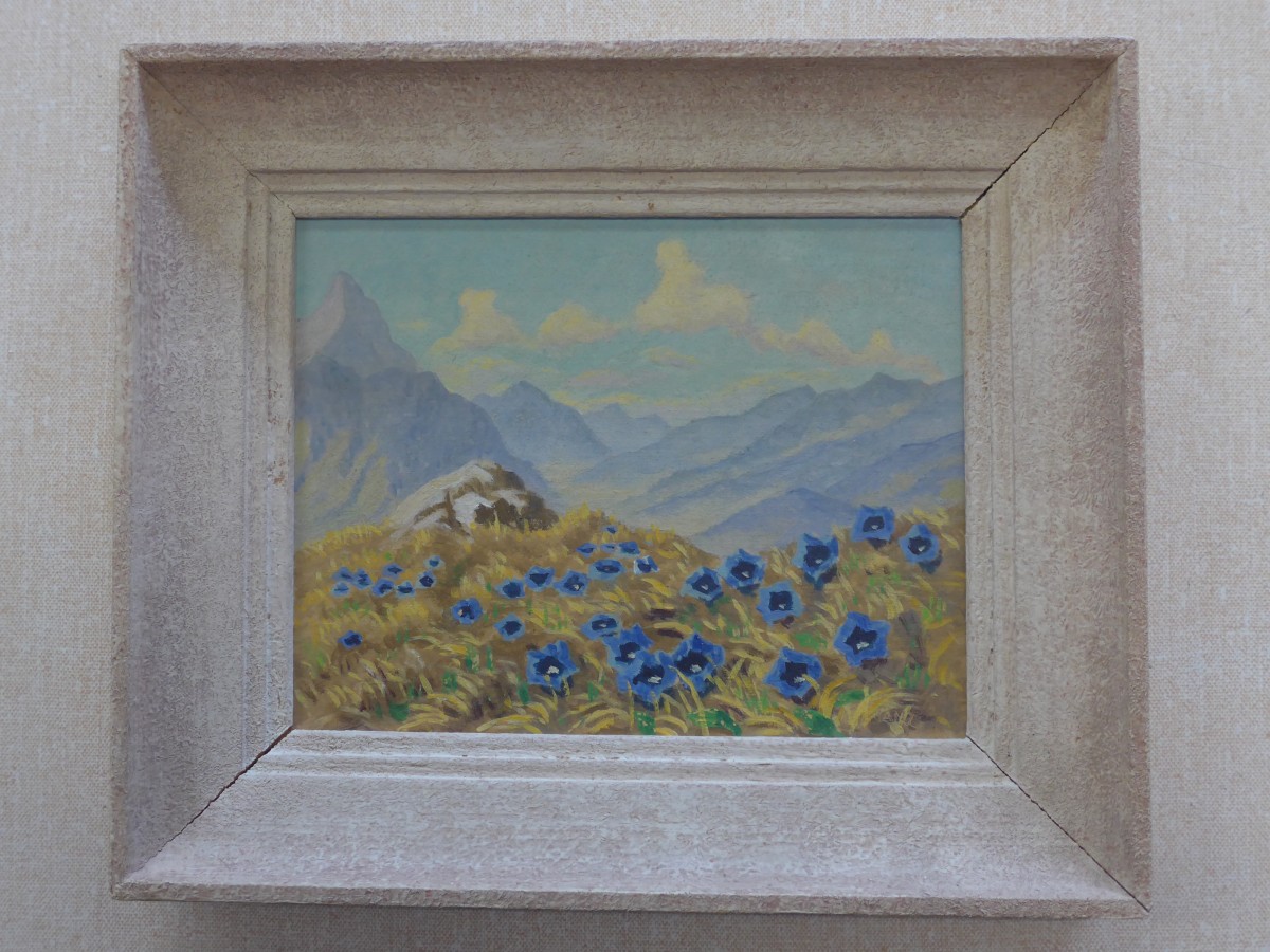 (161'701) - Bild mit Enzianen am 1. Juni 2015 im BrockiShop