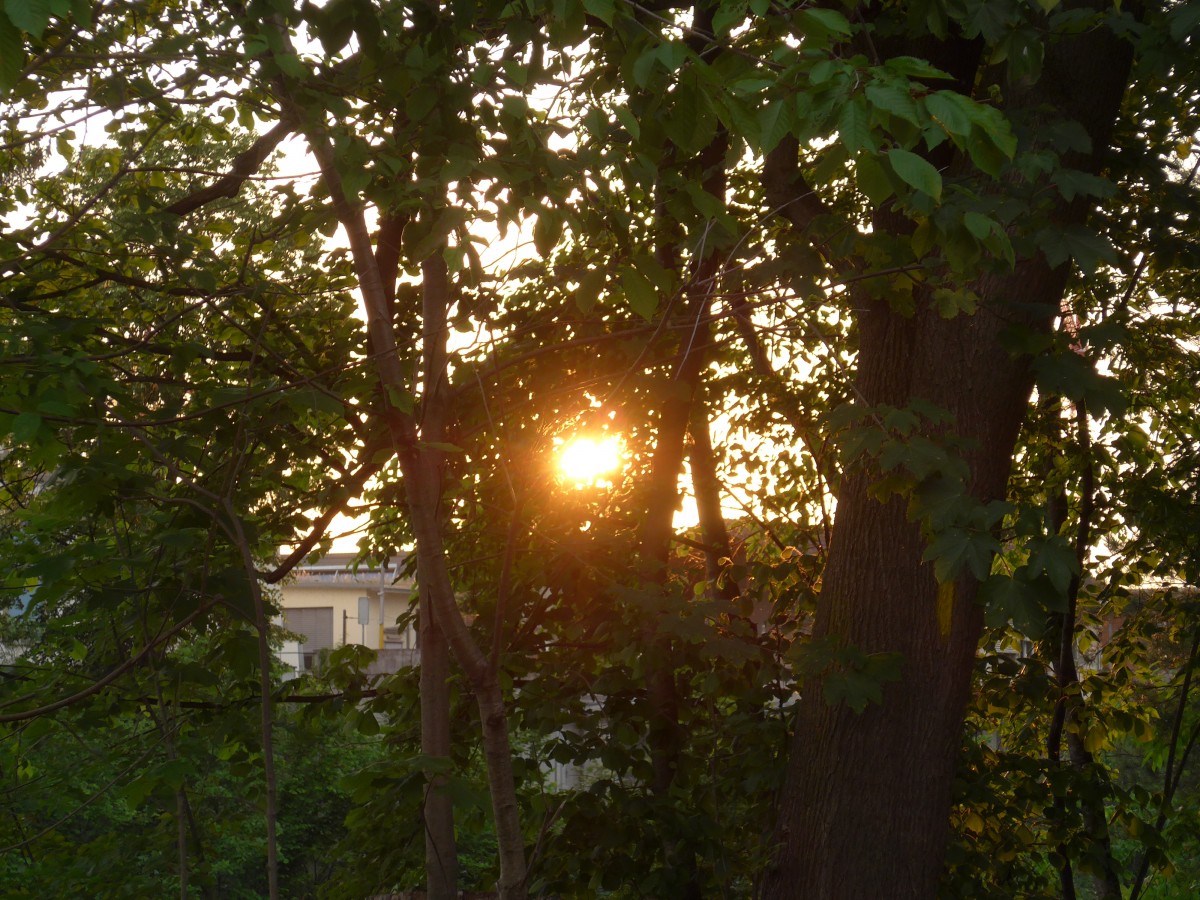(161'730) - Sonnenuntergang am 4. Juni 2015 bei Steffisburg